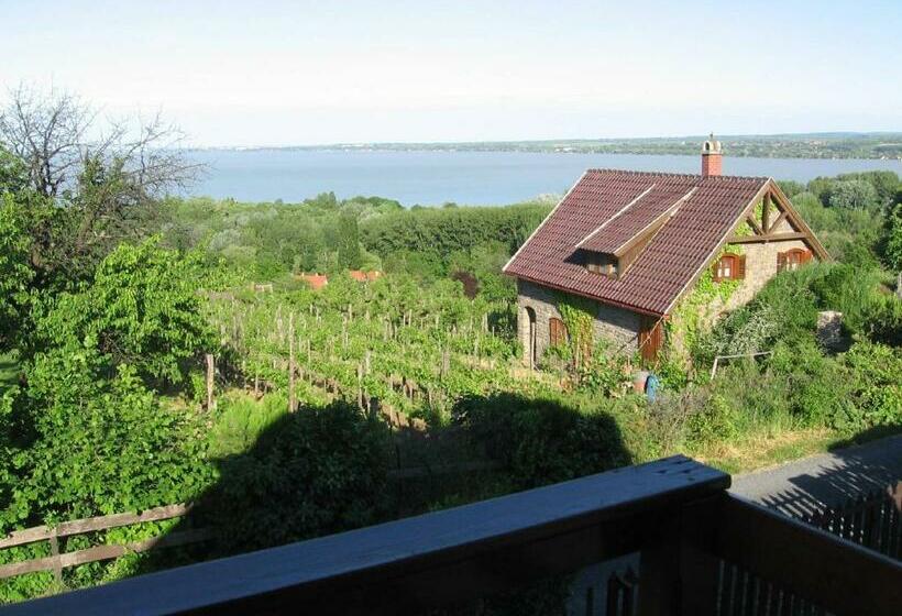 Pensionat Zoltán Borháza