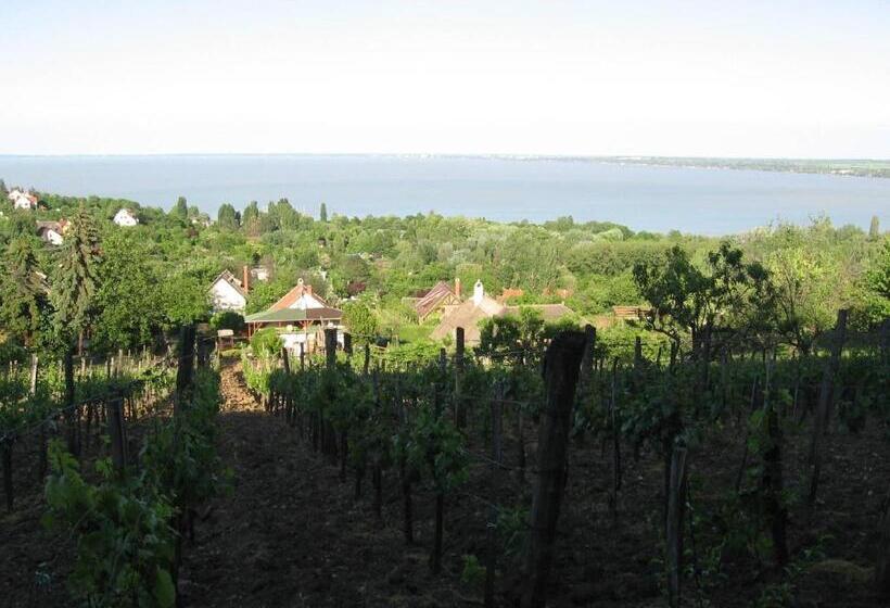 Pensionat Zoltán Borháza