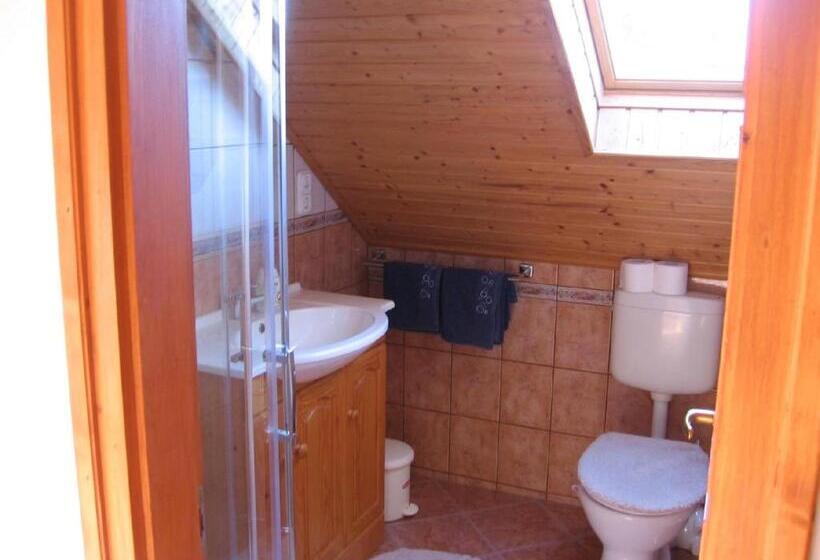 Pensionat Zoltán Borháza