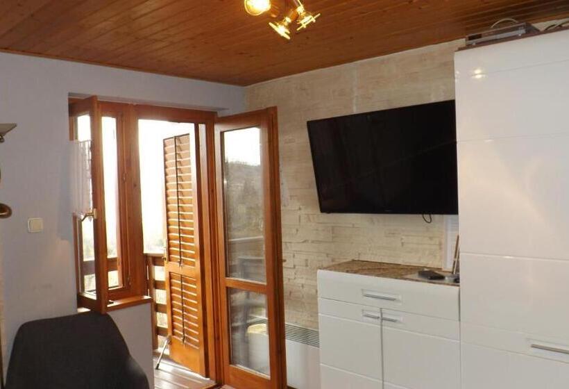 Pensionat Zoltán Borháza