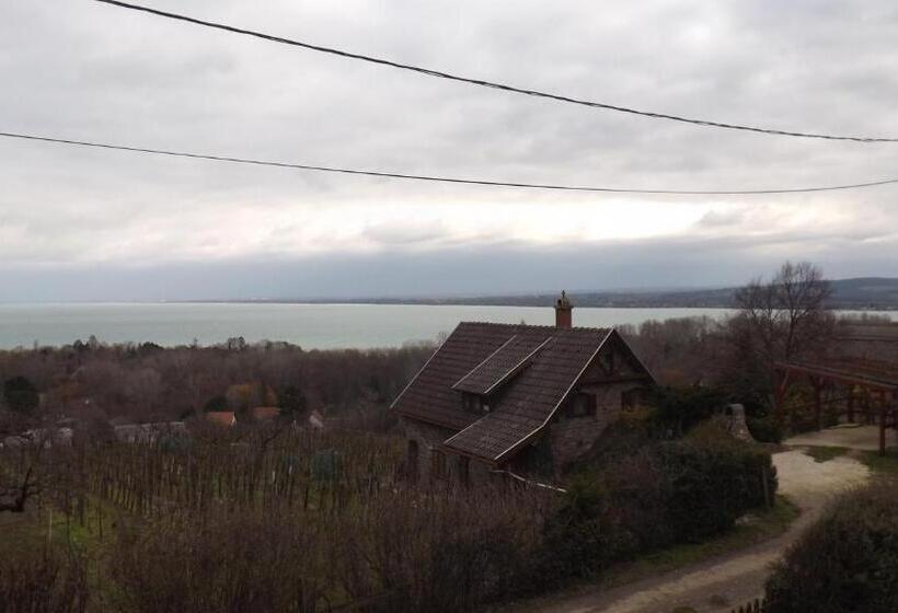 Pensionat Zoltán Borháza