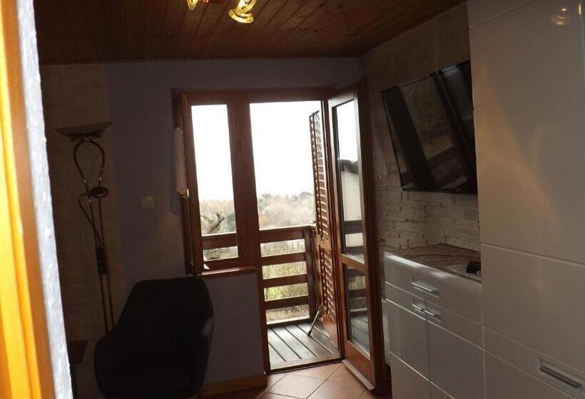 Pensionat Zoltán Borháza