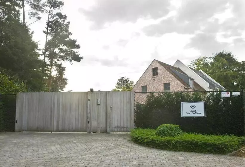 B&b Interludium