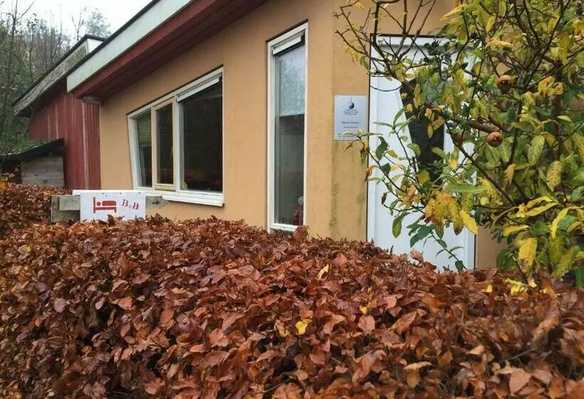 B&b  T Buitenkansje