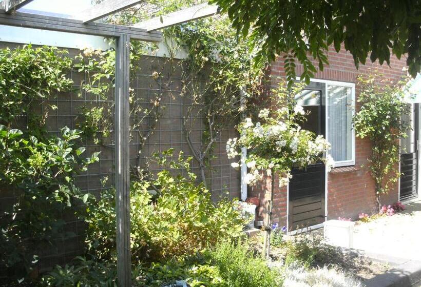 Bed and Breakfast 7even