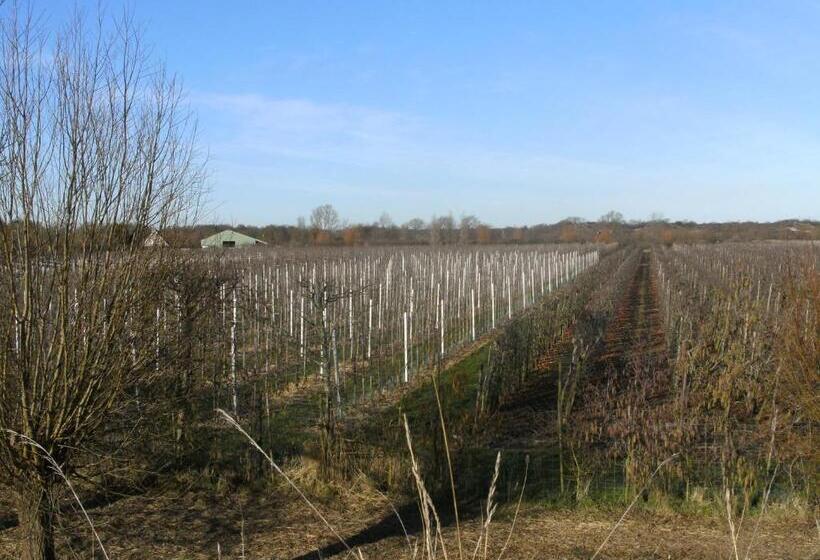 Bed and Breakfast 7even