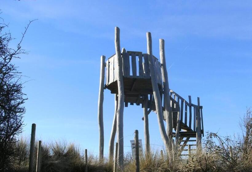 Bed and Breakfast 7even