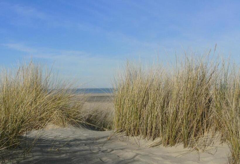 Bed and Breakfast 7even