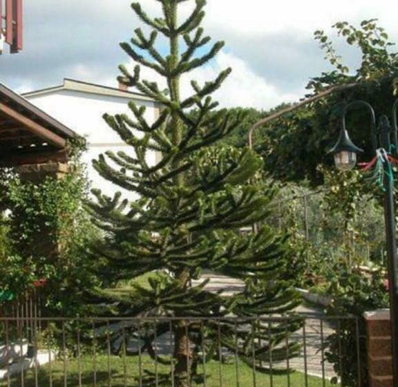 ベッドアンドブレックファースト La Casa Sull Aia,av