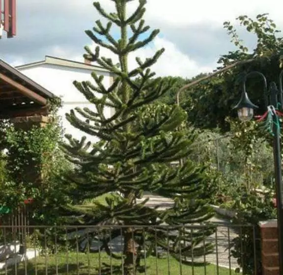 Aamiaismajoitus (B&B) La Casa Sull Aia,av