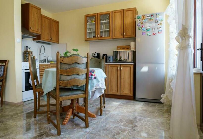 Пансион Guest House Tommy Bansko   Bachevo