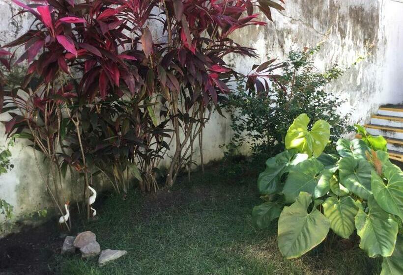 Pension Pousada Alquimia