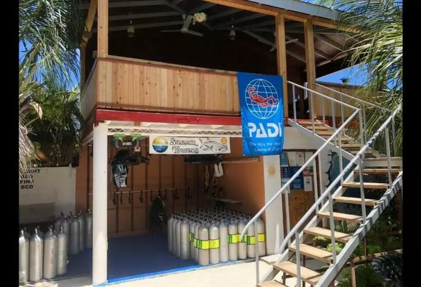 پانسیون Shamar Guesthouse & Dive