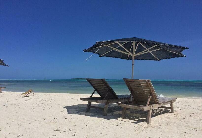 Pension Shamar Guesthouse & Dive