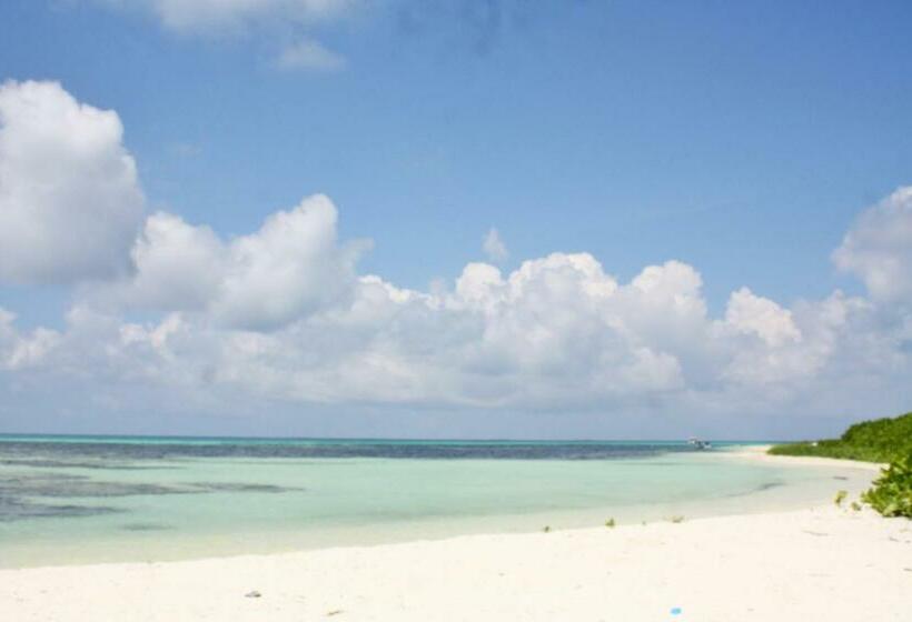 Pension Shamar Guesthouse & Dive