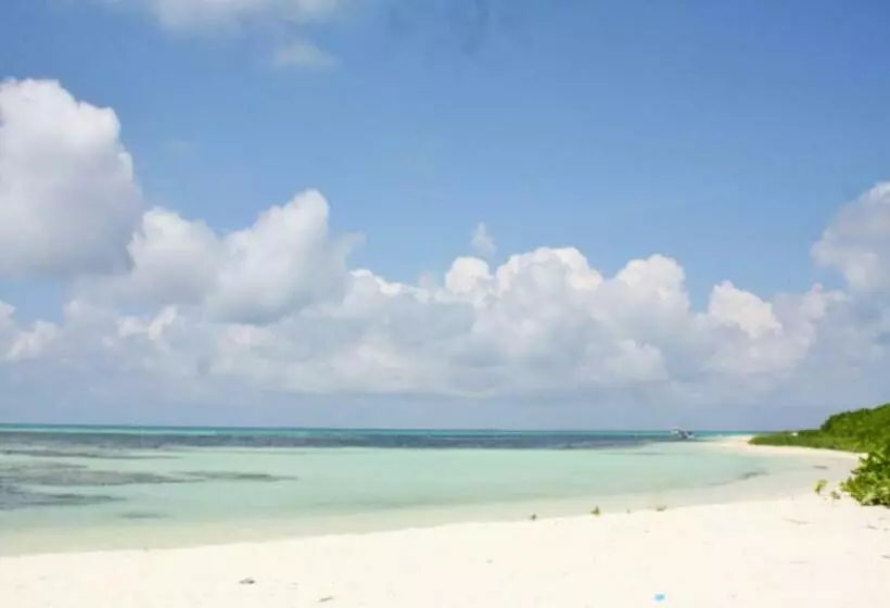 پانسیون Shamar Guesthouse & Dive