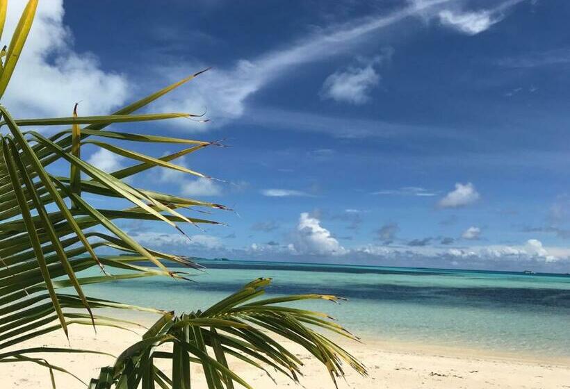 Pension Shamar Guesthouse & Dive