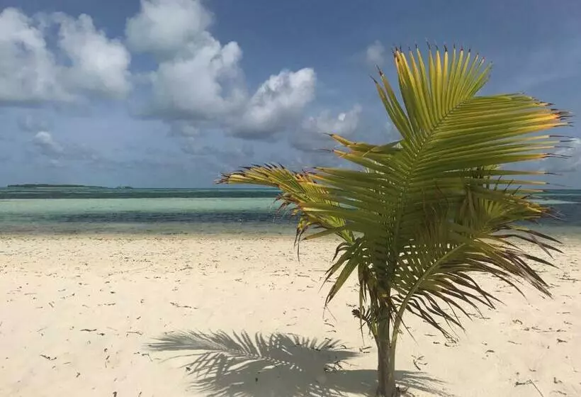 پانسیون Shamar Guesthouse & Dive