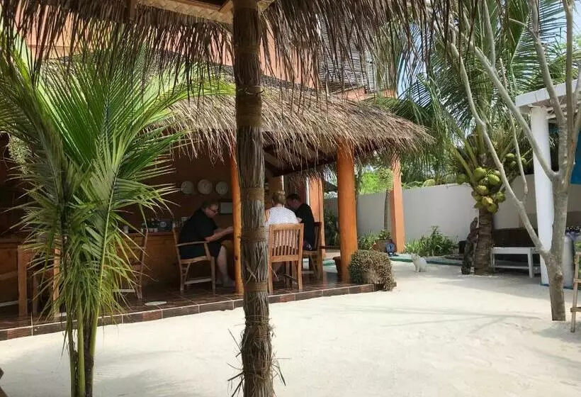 پانسیون Shamar Guesthouse & Dive