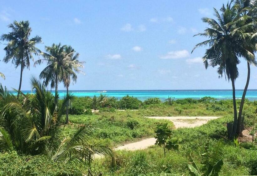 Pension Shamar Guesthouse & Dive