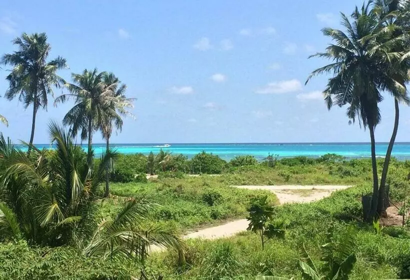 پانسیون Shamar Guesthouse & Dive