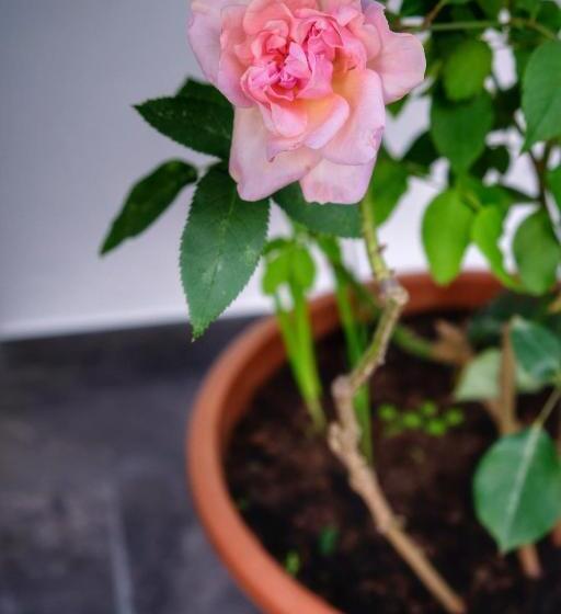 膳宿费 Vale Dos Encantos