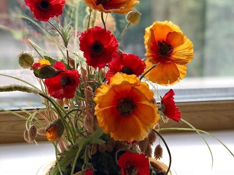 בית מלון כפרי Afalina