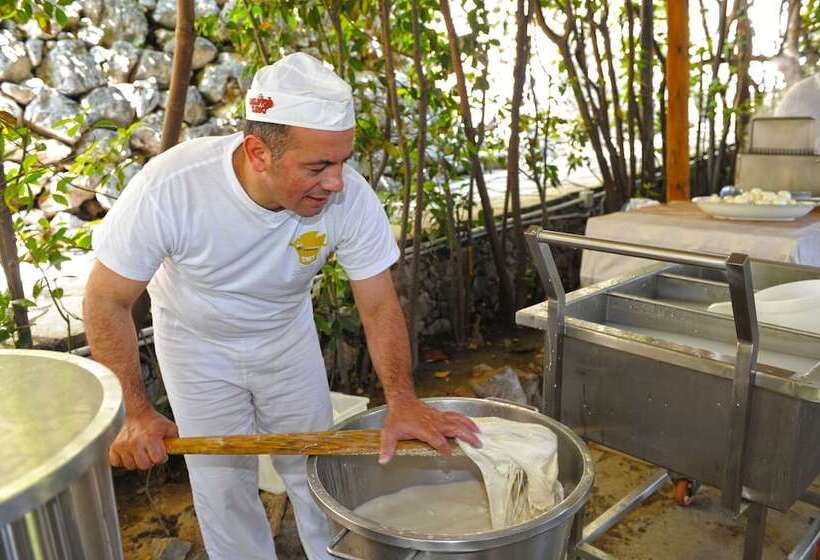 בית מלון כפרי Costa Diva