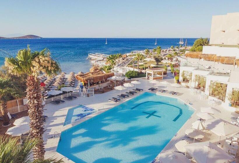 فندق Design Plus Seya Beach