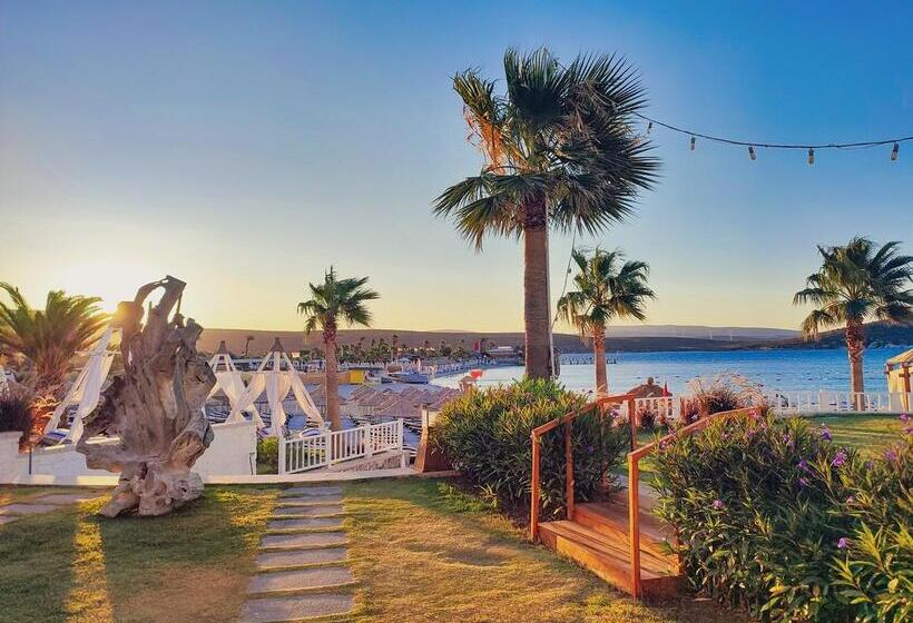 فندق Design Plus Seya Beach