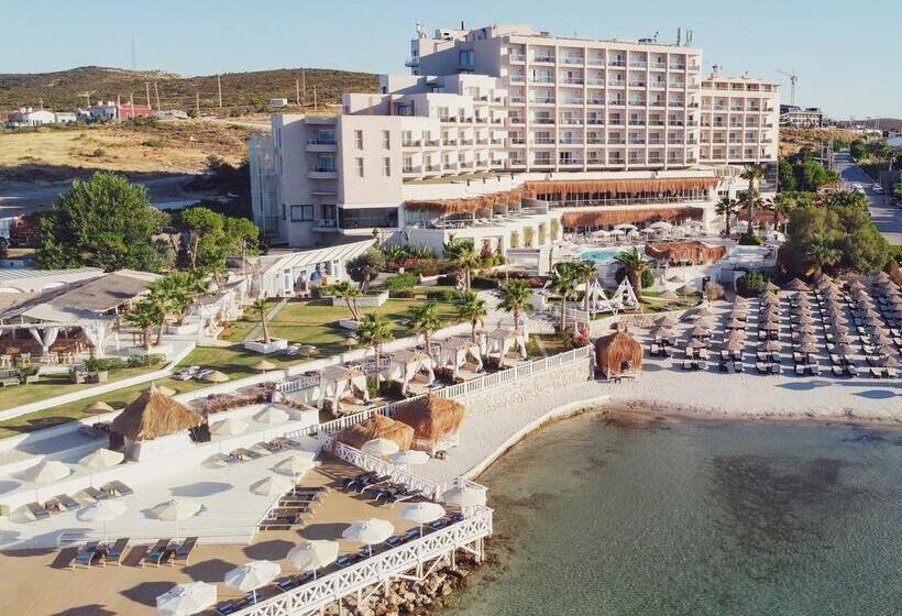 فندق Design Plus Seya Beach