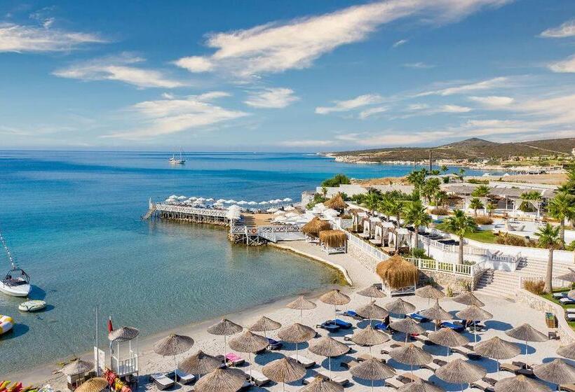 فندق Design Plus Seya Beach