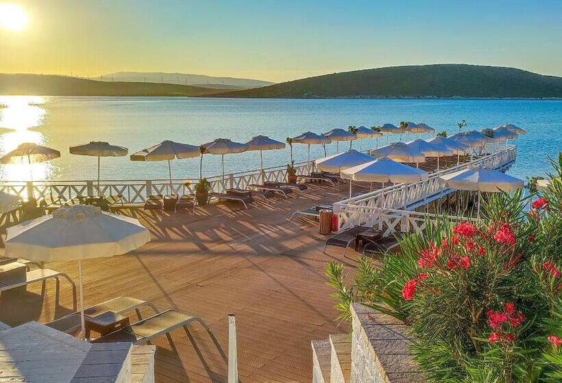 فندق Design Plus Seya Beach