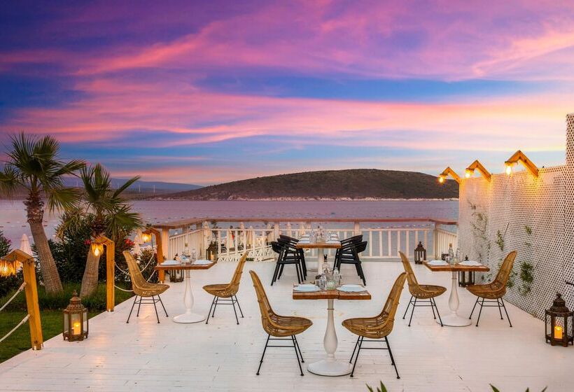 فندق Design Plus Seya Beach