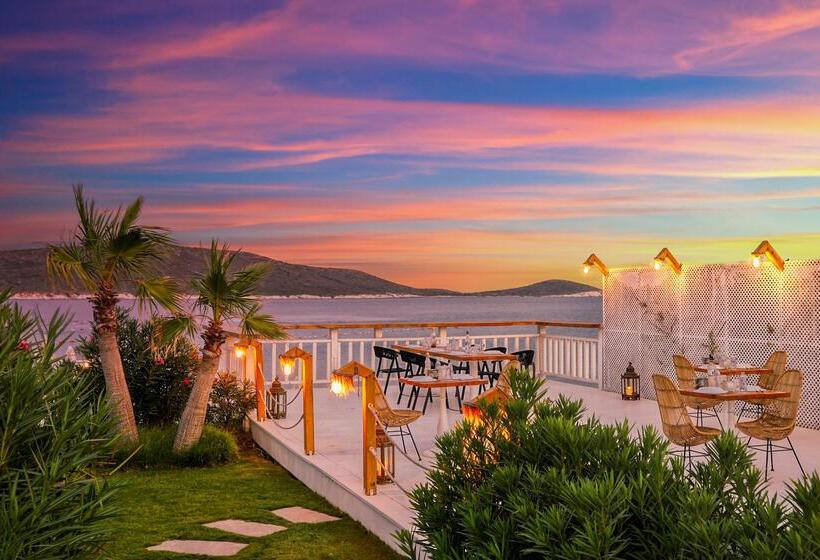 فندق Design Plus Seya Beach