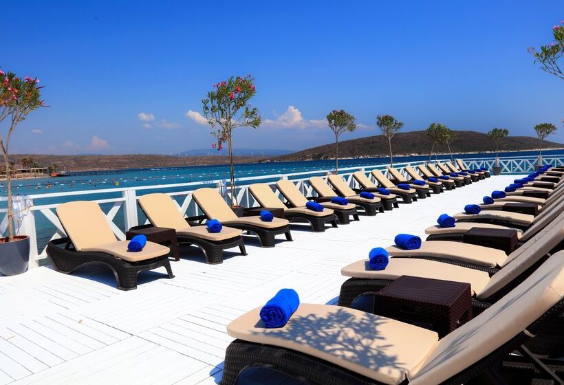 فندق Design Plus Seya Beach