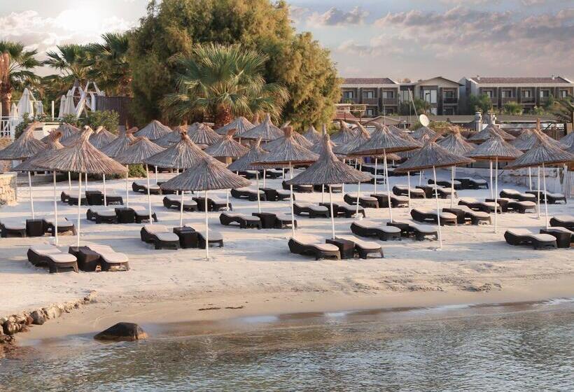 فندق Design Plus Seya Beach