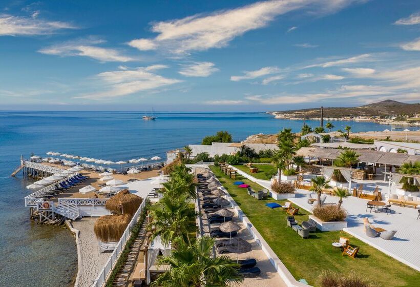 فندق Design Plus Seya Beach