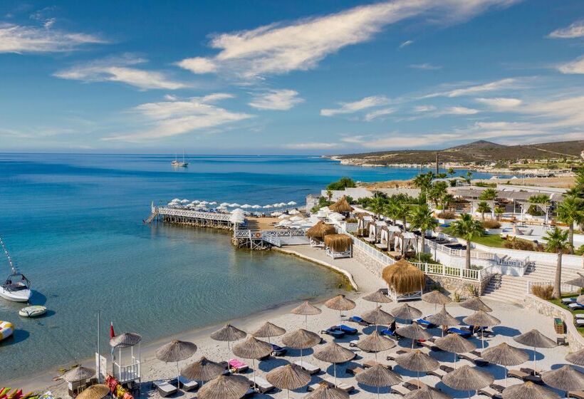 فندق Design Plus Seya Beach