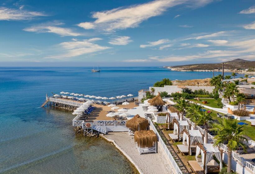 فندق Design Plus Seya Beach