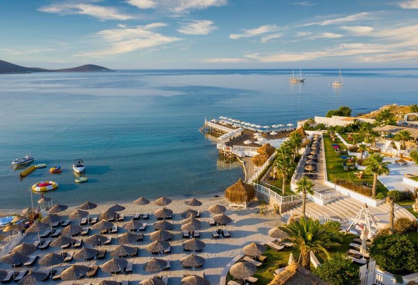 فندق Design Plus Seya Beach