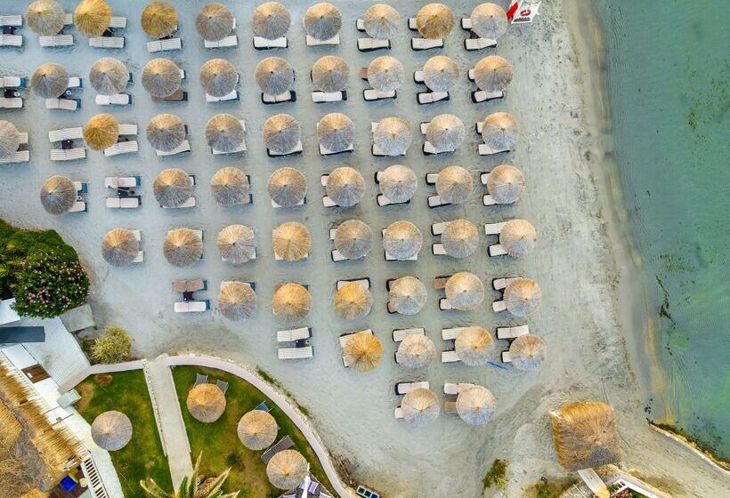 فندق Design Plus Seya Beach