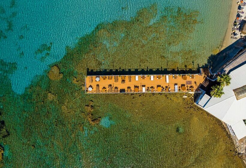 فندق Design Plus Seya Beach