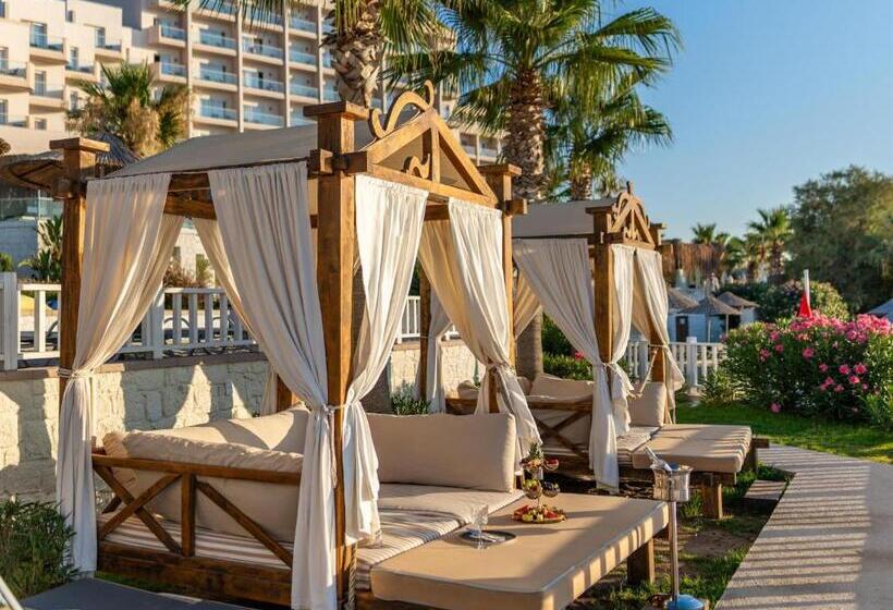 فندق Design Plus Seya Beach