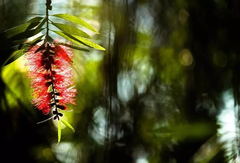 Отель The Siena Village