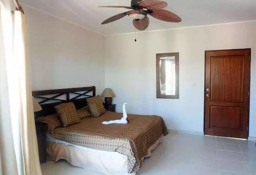 Kite Beach Hotel And Condos