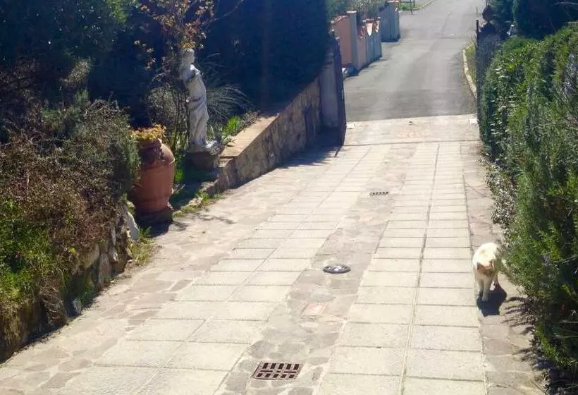 B&b Pino Del Capitano