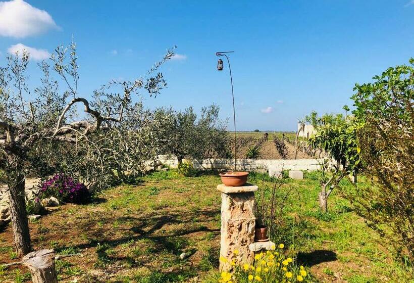 B&b Terre Dì Montecoco