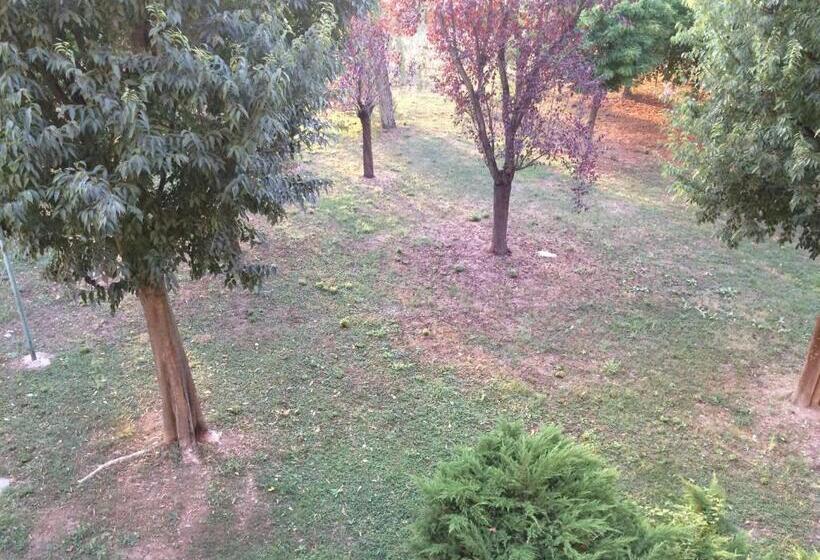 Bed & Breakfast Da Eliana