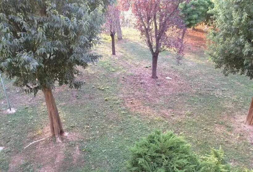 Bed & Breakfast Da Eliana